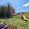 【神奈川県/川崎市高津区下作延】イル・フレッシィ ぞうさん公園