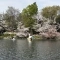 【東京都/武蔵野市御殿山】メゾン井の頭 井の頭恩賜公園