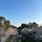 【兵庫県/西宮市神園町】夙川苦楽園口レジデンス 夙川公園
