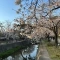 【兵庫県/西宮市神園町】夙川苦楽園口レジデンス 夙川公園