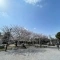 【東京都/世田谷区駒沢】ヴィークコート駒沢 世田谷区立小泉公園