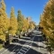 【東京都/八王子市台町】ウィル・ビラ2 甲州街道