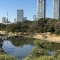 【東京都/港区浜松町】パークコート浜離宮ザタワー 浜離宮恩賜庭園
