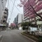 【神奈川県/横浜市南区真金町】サンセーヌ横浜 前面道路
