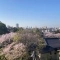 【東京都/北区赤羽西】ディアシティ赤羽 眺望