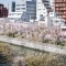 【東京都/江東区牡丹】ヴェレーナグラン門前仲町 眺望