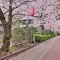 【東京都/江東区亀戸】プラウドタワー亀戸クロス ゲートタワー 亀戸緑道公園