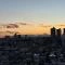 【埼玉県/さいたま市浦和区前地】ブランシエラ浦和 眺望：夕焼けに染まる空と富士山を望む