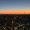【東京都/豊島区東池袋】エアライズタワー 眺望：ズーム無