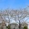 【神奈川県/横浜市神奈川区羽沢南】クリオ上星川弐番館 眺望：春になると桜が見えます(天候による)