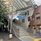 【東京都/渋谷区富ヶ谷】フォルム代々木公園リベディア 小田急線「代々木八幡」駅