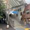 【東京都/渋谷区富ヶ谷】フォルム代々木公園リベディア 小田急線「代々木八幡」駅