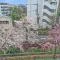 【東京都/世田谷区用賀】ヒルズ用賀 TOKYO U CITY 眺望