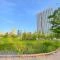 【東京都/港区芝浦】キャピタルマークタワー 港区立芝浦中央公園