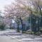 【東京都/世田谷区桜丘】パークハウス世田谷桜丘 前面道路