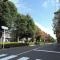 【東京都/世田谷区宮坂】東高ペアシティ世田谷赤堤 前面道路：ユリの木通り