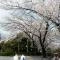 【東京都/品川区東大井】シティテラス大井仙台坂ヒルトップガーデン 区立大井公園