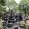 【東京都/江戸川区中央】クレアホームズ新小岩親水公園 小松川境川親水公園