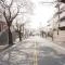 【神奈川県/横浜市青葉区桜台】青葉台ヒルズ 前面道路