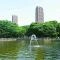 【東京都/江東区北砂】コスモ西大島グランステージ 東棟 都立猿江恩賜公園