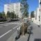 【東京都/板橋区小豆沢】スカイティアラ イースト 前面道路