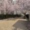 【東京都/西東京市ひばりが丘】プレミストひばりが丘シーズンビュー ひばりが丘桜の道公園