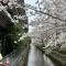 【京都府/京都市中京区河原町通二条下る】イーグルコート御池高瀬川 外観
