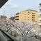 【京都府/京都市中京区河原町通二条下る】イーグルコート御池高瀬川 バルコニーからの桜の写真です。