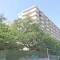 【千葉県/柏市根戸】ウインザーハイム北柏ガーデン 外観