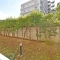 【東京都/板橋区富士見町】イトーピア板橋本町 敷地内