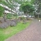 【神奈川県/相模原市南区上鶴間本町】ザ・ウインベルグラン町田 敷地内