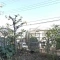 【神奈川県/相模原市南区鵜野森】ライオンズヒルズ町田第2 専用庭