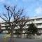 【神奈川県/横浜市南区新川町】ラフィネステージ横浜南 共進中学校