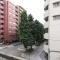 【東京都/府中市緑町】ヴェラハイツ第一東府中 眺望
