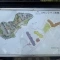 【神奈川県/横須賀市金谷】コモンシティ湘南衣笠 サウス・リッジ棟 敷地内案内板