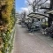 【東京都/荒川区荒川】グリーンコーポ町屋 敷地内