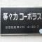 【東京都/世田谷区等々力】等々力コーポラス マンション表札