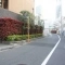 【東京都/港区赤坂】オープンレジデンス赤坂テラス 前面道路