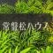 【東京都/港区南青山】常盤松ハウス マンション表札