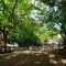 【東京都/杉並区高円寺南】第二高円寺ダイヤモンドマンション  蚕糸の森公園