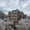 【埼玉県/蕨市南町】ヴィ―クコート蕨南桜並木 眺望