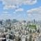【大阪府/大阪市西区江之子島】阿波座ライズタワーズフラッグ46 眺望