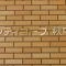 【東京都/大田区萩中】シティコープ萩中 マンション表札