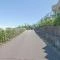【神奈川県/横浜市旭区市沢町】フローレンスパレス左近山 前面道路