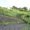 【神奈川県/横浜市緑区鴨居】ルミネ鴨居 専用庭