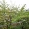 【千葉県/市川市幸】行徳芙蓉ハイツ 眺望