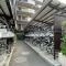 【埼玉県/朝霞市三原】ガーデンコート志木 駐輪場