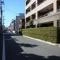 【東京都/練馬区錦】ヒルズ城北中央公園 前面道路