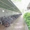 【兵庫県/神戸市東灘区向洋町中】RICイーストコート4番街9番館 駐輪場