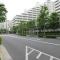【東京都/足立区新田】アクアテラ ブロード・スクエア 前面道路